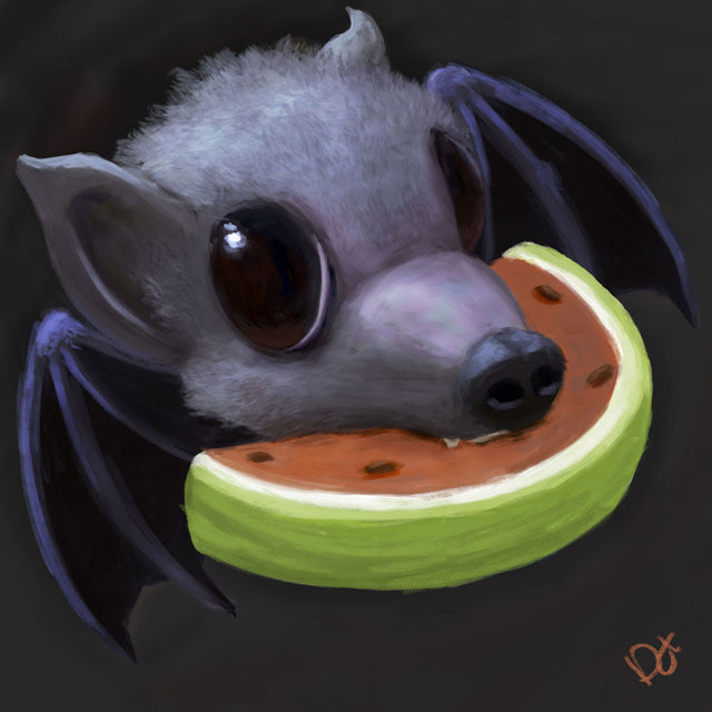 fruit bat drawings
